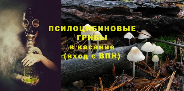 твердый Заволжск