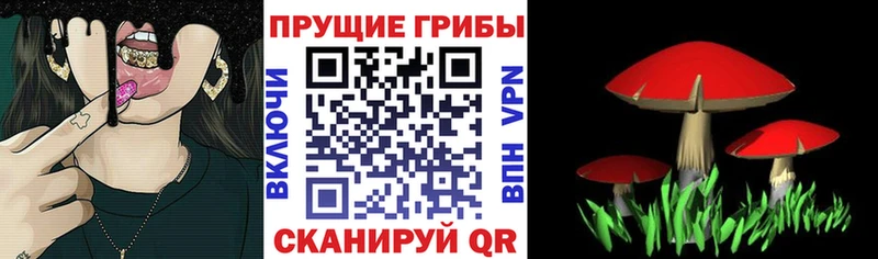 Псилоцибиновые грибы ЛСД  Купить закладки  Радужный 